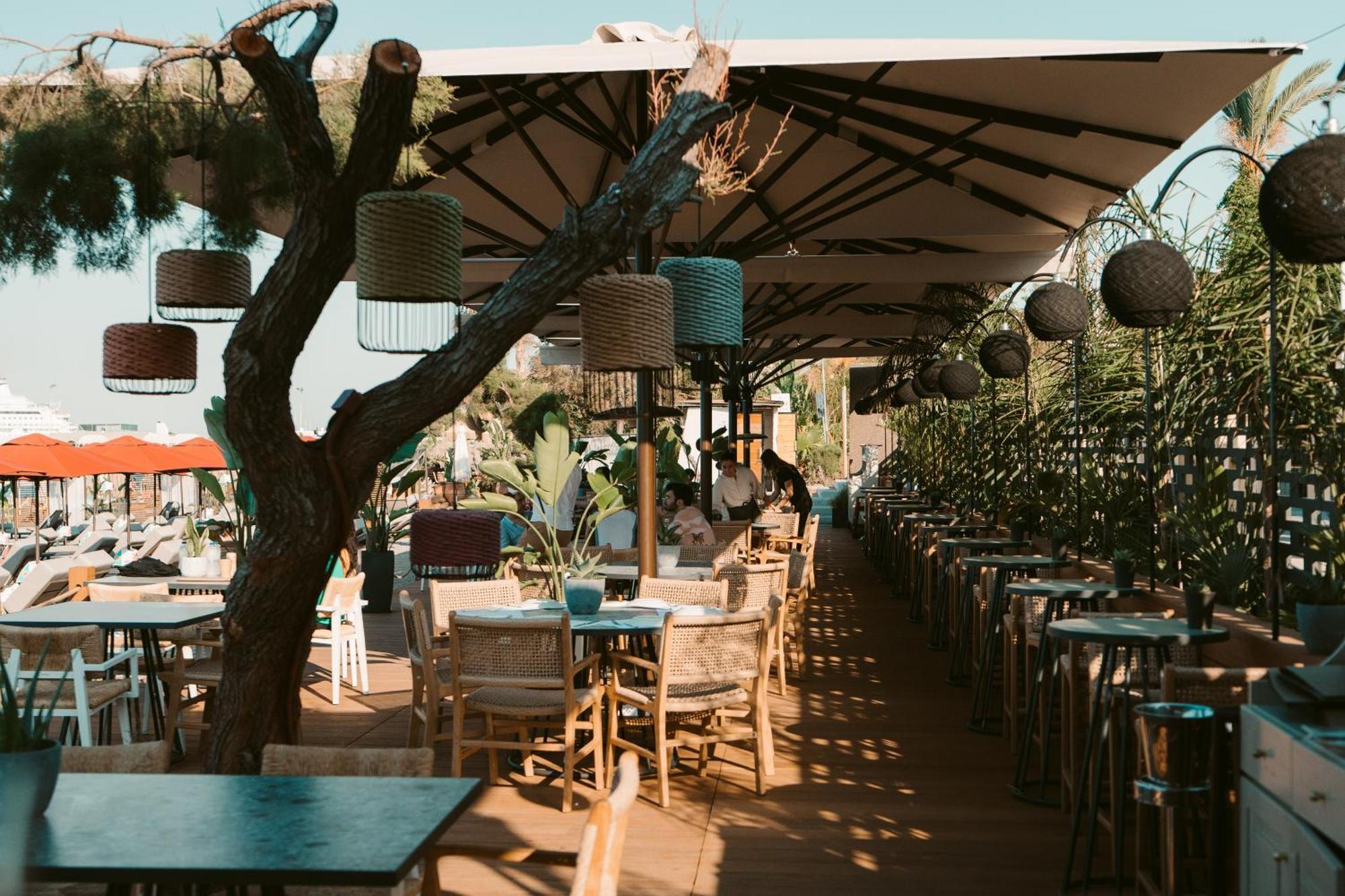 Hotel Grande Delle Rose (adults Only) Rhodes City